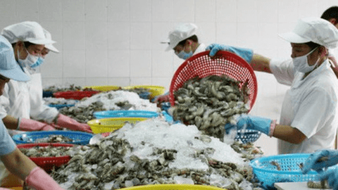 Xuất khẩu thủy sản có khả năng sẽ cán mốc 11 tỷ USD