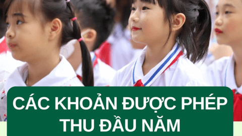 Trường học ở Hà Nội được phép thu những khoản nào đầu năm học?