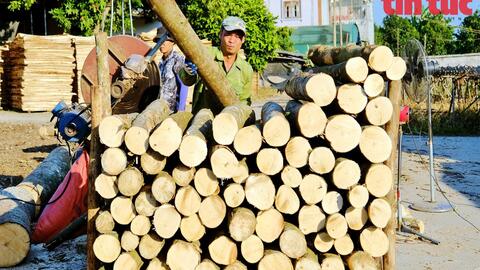Sẽ ứng dụng công nghệ trong phân loại hồ sơ hoàn thuế
