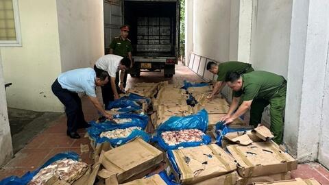 Quyết liệt xử lý vi phạm trong lĩnh vực môi trường