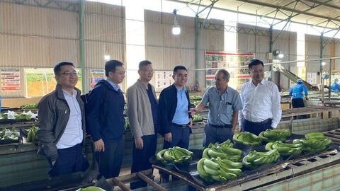 Nhà đầu tư chi hơn 500 tỷ đồng mua cổ phiếu HAG: Tưởng lạ mà quen, sở hữu quỹ đất "khủng", lợi nhuận gần 300 tỷ năm 2022