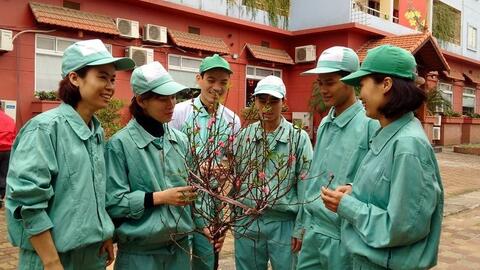 Chuyện những công nhân đón Tết xa quê