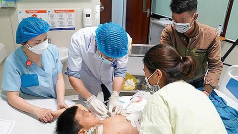 Nhiều người bị chó mèo cắn, phát bệnh dại trước và sau Tết