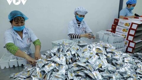 Kinh tế Việt Nam: Các động lực tăng trưởng, hồi phục vẫn chưa đồng đều