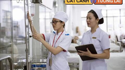 1 ngành học được WHO dự đoán thiếu khoảng 50.000 nhân lực trong 6 năm tới: AI không thể thay thế, mức lương 15 triệu/tháng trong tầm tay