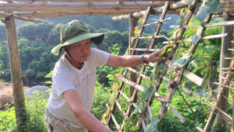 “Ba sẵn sàng” trong ký ức của các cựu thanh niên xung phong