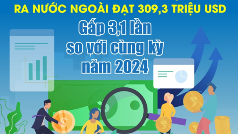 4 tháng đầu năm, tổng vốn đầu tư của Việt Nam ra nước ngoài đạt 309,3 triệu USD