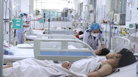 Phòng, chống sốt xuất huyết đầu mùa mưa