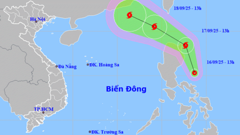 Bão số 8 đang hình thành trên biển Đông