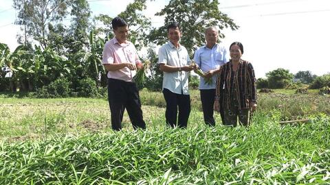 Cần Thơ quyết tâm giảm tỷ lệ hộ nghèo xuống còn 0,63% vào cuối năm 2025
