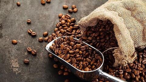 Giá cà phê hôm nay 24.10: Trong nước tăng vọt, lập đỉnh mới trên 118.000 đồng/kg