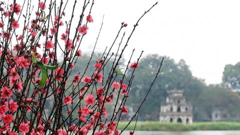 Thời tiết hôm nay (30-1): Trời ẩm, sương mù, miền Bắc sắp chuyển mưa rét