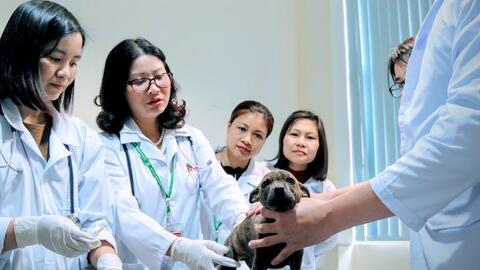 Nữ đại biểu Quốc hội, nhà khoa học tâm huyết với nông nghiệp Thủ đô