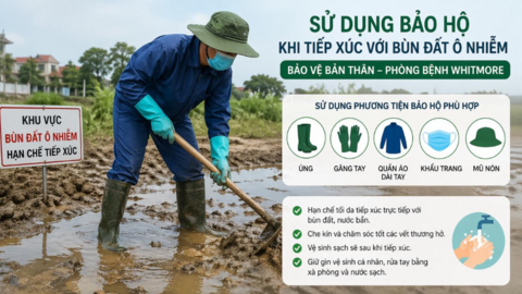 Bộ Y tế cảnh báo bệnh Whitmore: Diễn biến nặng, nguy cơ tử vong cao nếu chủ quan