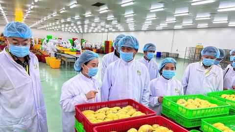 Phổ biến quy định mới về an toàn thực phẩm xuất khẩu vào Trung Quốc