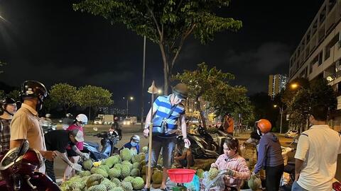 Trồng cây... lo ngày hái quả