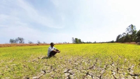 El Nino dự báo rất mạnh: Phòng chống hạn hán, xâm nhập mặn theo kịch bản rủi ro rất cao