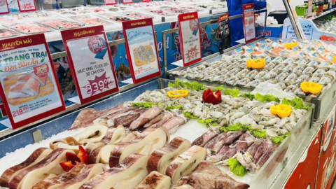 Mở rộng sức tiêu thụ thủy sản trên thị trường nội địa 100 triệu dân