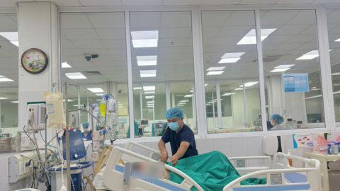 Bé gái 14 tuổi sốc, suy đa tạng vì một vết mò đốt dưới ngực