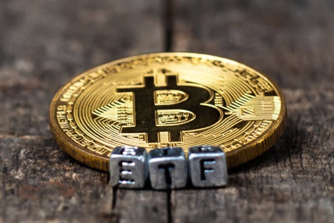 Giá Bitcoin giảm xuống mức thấp nhất kể từ tháng 7 khi thanh lý vượt quá 530 triệu USD