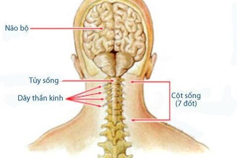 Không tự ý tiêm thuốc tại những cơ sở không bảo đảm