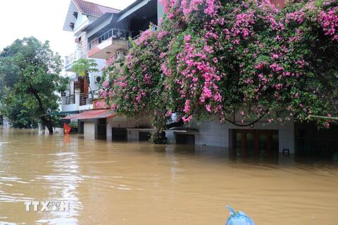 Lào Cai: Ngừng các tour du lịch đến Sa Pa, Y Tý và vùng nguy cơ lũ quét