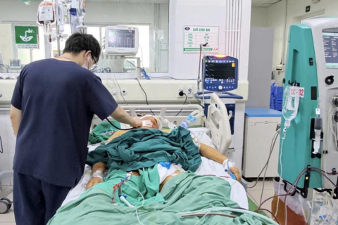 Nguy cơ nhiễm xoắn khuẩn vàng da sau mưa lũ