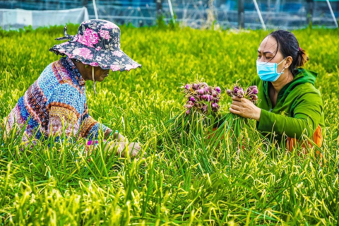 Giải quyết chiều thiếu hụt việc làm: Mở lối thoát nghèo bền vững