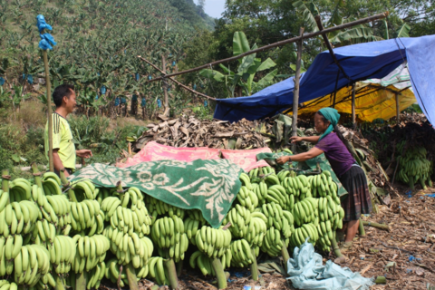 Chính sách giảm nghèo đã và đang giúp người dân nâng cao năng lực, khơi dậy nội lực để thoát nghèo