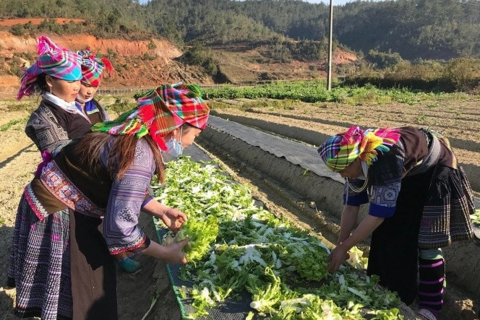 Kết nối việc làm, tạo sức bật cho người dân vươn lên thoát nghèo