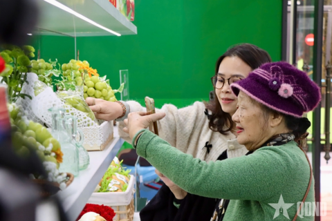 Mở cửa phòng trưng bày hàng thật - hàng giả tại 62 Tràng Tiền, Hà Nội