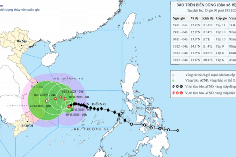 Trực cấp cứu 24/24, không để người dân thiếu nơi khám chữa bệnh trong bão số 15