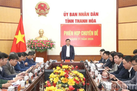 Thanh Hóa bàn giải pháp hoàn thiện bảng giá đất và tăng cường bảo vệ đất trồng lúa