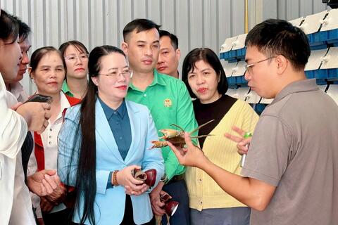 Nông dân Thủ đô chung sức thoát nghèo bền vững