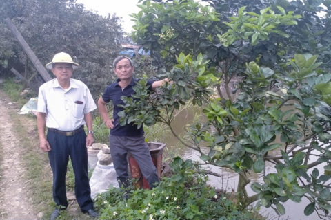 Hành trình xóa đói giảm nghèo của cựu chiến binh Nguyễn Văn Mười