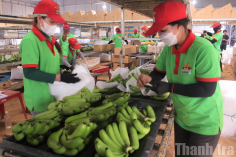 Nâng lương tối thiểu vùng, điểm tựa an sinh cho người lao động Đắk Lắk