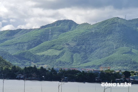 Đà Nẵng đầu tư hơn 1.380 tỷ đồng xây dựng tuyến đường ven sông kết nối Khu thương mại tự do