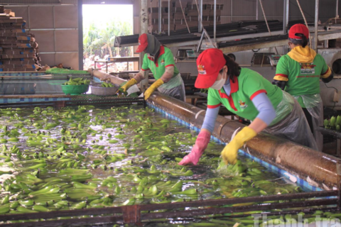 Tăng lương tối thiểu vùng tại Đắk Lắk: "Đòn bẩy" từ sự hài hòa lợi ích giữa "ba nhà"