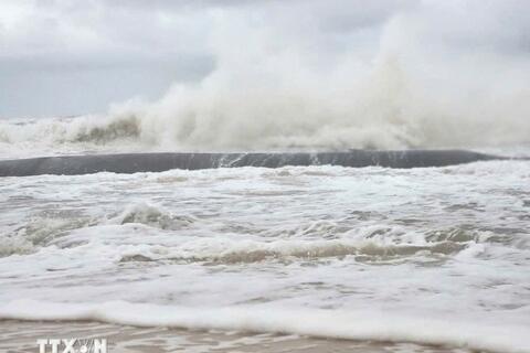 Sắp có áp thấp đầu tiên trong năm 2026 trên Biển Đông, Việt Nam có ảnh hưởng?