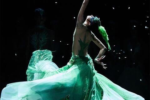 Dấu ấn “Khổng Tước” trong lòng khán giả Việt Nam