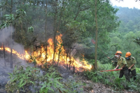 ​Bắc Ninh: Quyết liệt chủ động các phương án phòng cháy, chữa cháy rừng