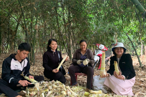 Đắk Lắk: Đánh thức tiềm năng cây tre, hướng tới ngành hàng kinh tế xanh