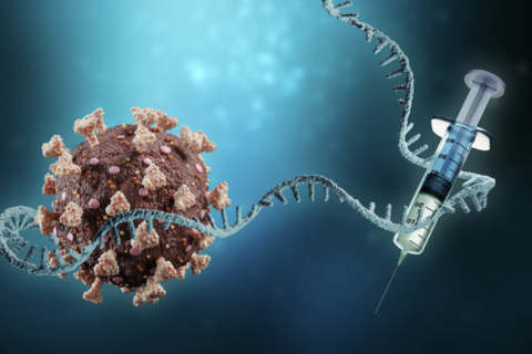 Cuộc đua tạo vaccine “đa năng” chống nhiều loại virus cùng lúc