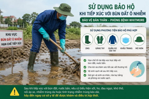 Bộ Y tế cảnh báo bệnh Whitmore: Diễn biến nặng, nguy cơ tử vong cao nếu chủ quan