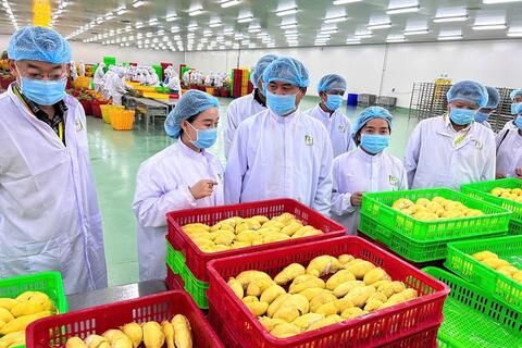 Phổ biến quy định mới về an toàn thực phẩm xuất khẩu vào Trung Quốc
