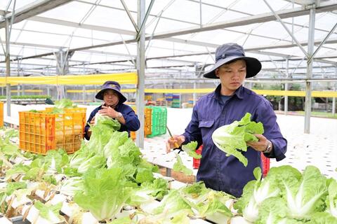 Đưa nông sản Lâm Đồng vươn xa