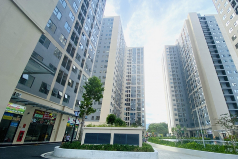 Hoàn thiện chính sách đất đai, tín dụng, khuyến khích tư nhân phát triển nhà ở cho thuê