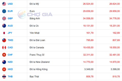 Tỷ giá USD hôm nay 25/6/2026: Đồng bạc xanh lên đỉnh 13 tháng