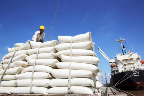 VCCI đề nghị 'loại' xuất khẩu gạo ra khỏi danh mục kinh doanh có điều kiện