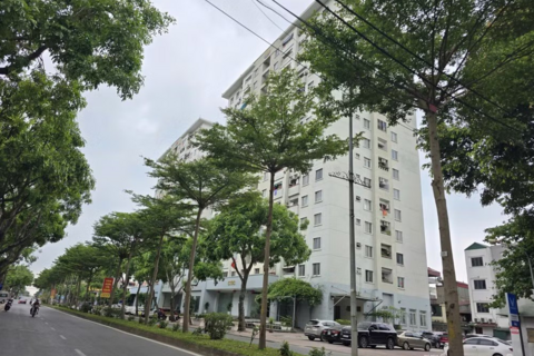 Hà Nội dự kiến miễn tiền sử dụng đất cho các dự án nhà ở cho thuê
